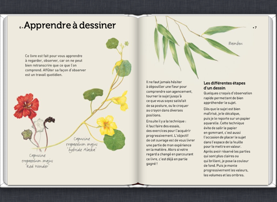 Dessiner Plantes Et Fleurs