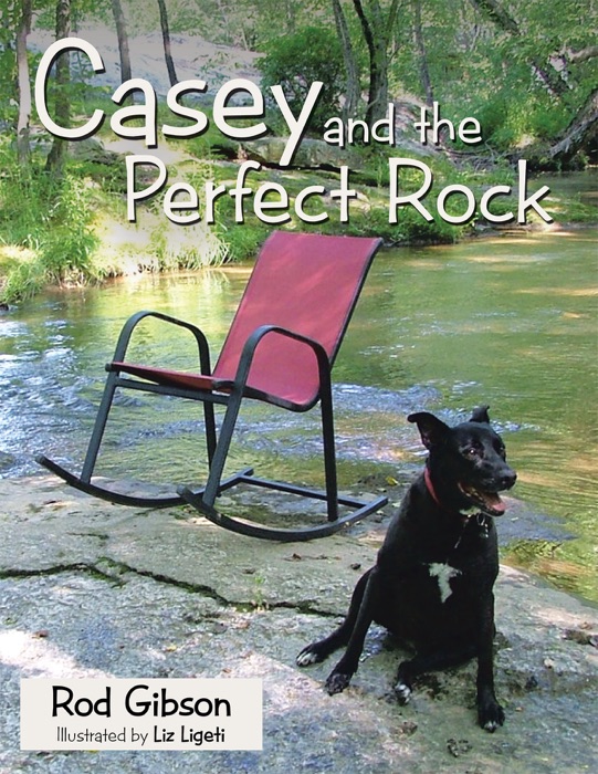 Casey and the Perfect Rock