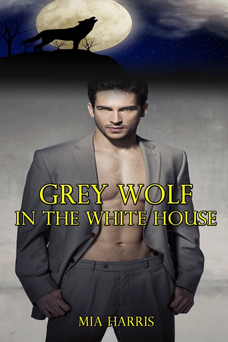 Grey Wolf in the White House: Part One (Paranormal BBW Erotic Romance – Alpha Mate)