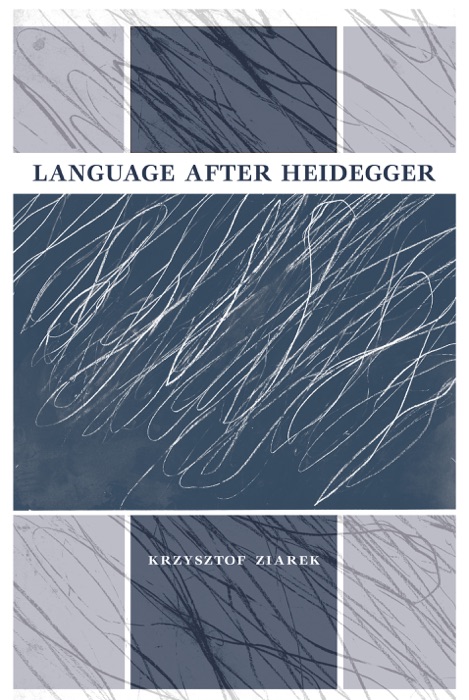 Language after Heidegger