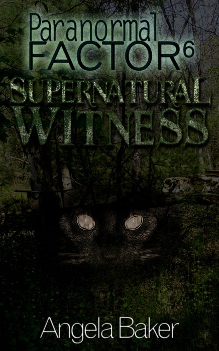 Paranormal Factor 6 Supernatural Witness