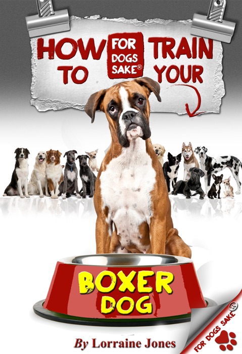 How to Train Your Boxer Dog