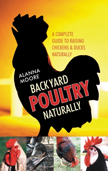 Backyard Poultry Naturally