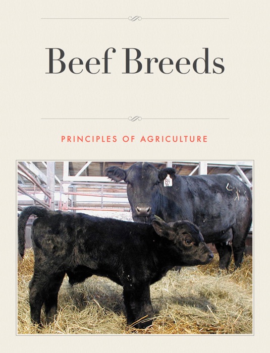 Beef Breeds