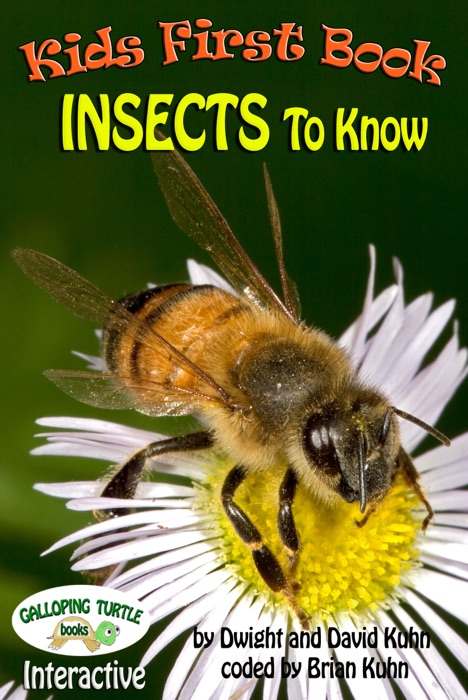 Kids First Book -  Insects to Know