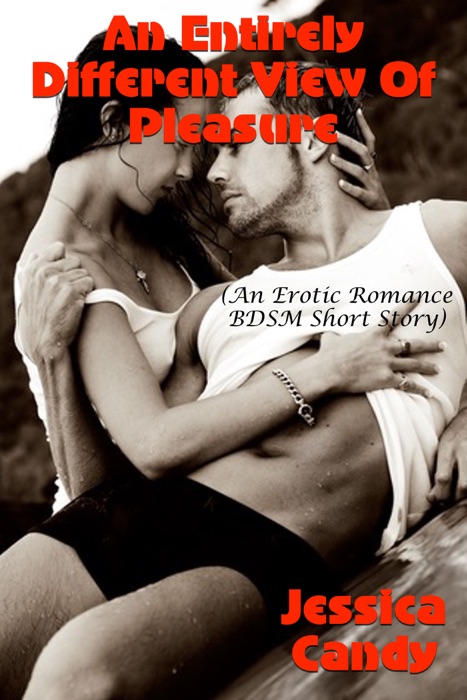 An Entirely Different View Of Pleasure (An Erotic Romance BDSM Short Story)