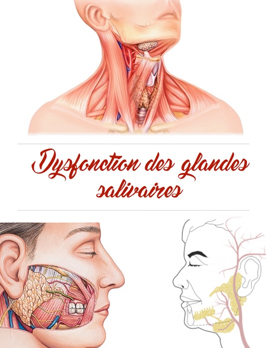 Dysfonction des glandes salivaires