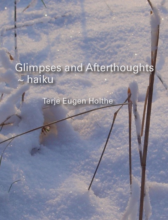 Haiku ~ Glimpses and Afterthoughts