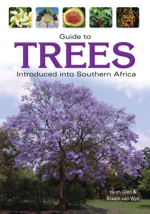 Guide to Trees