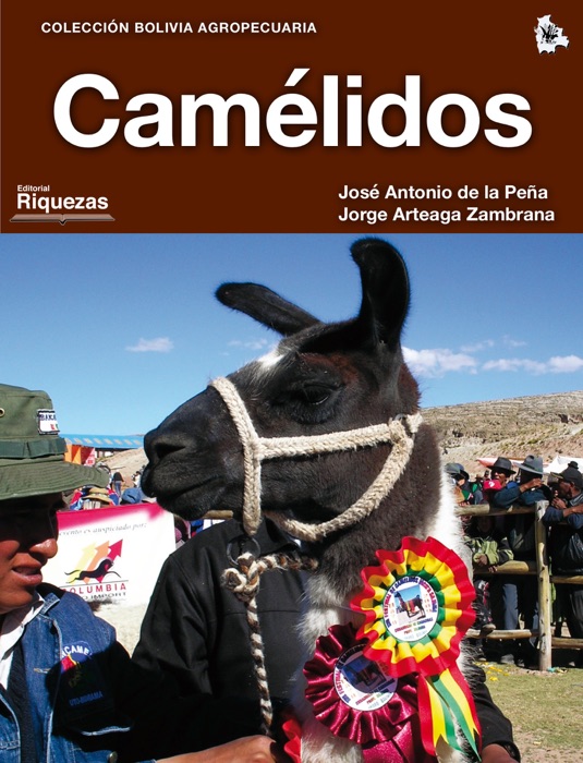 Camélidos