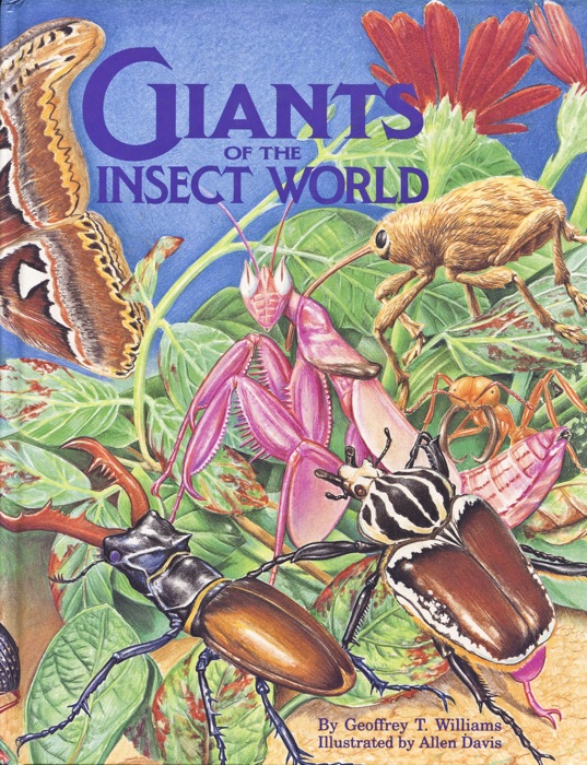 Giants of the Insect World