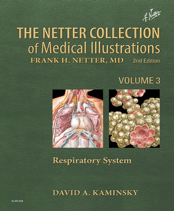 Netter Collection of Medical Illustrations: Respiratory System E-Book