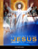 Encountering Jesus in the New Testament Encountering Jesus in the New Testament