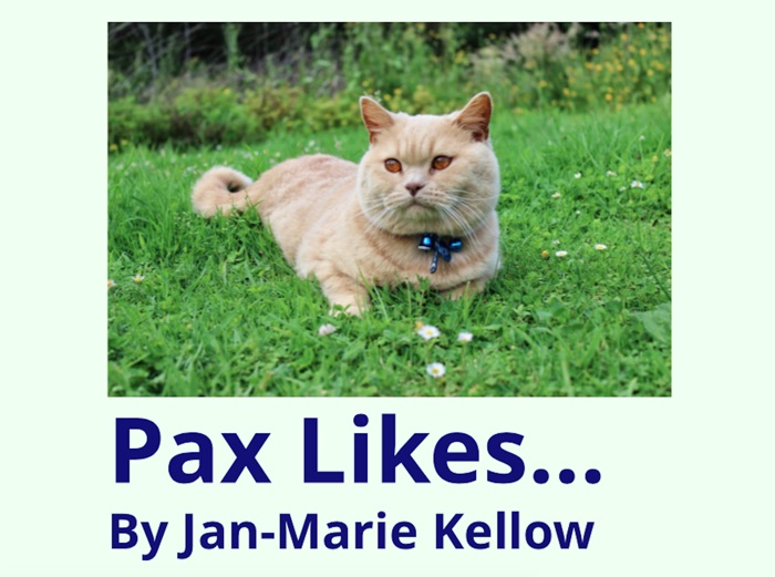 Pax Likes...