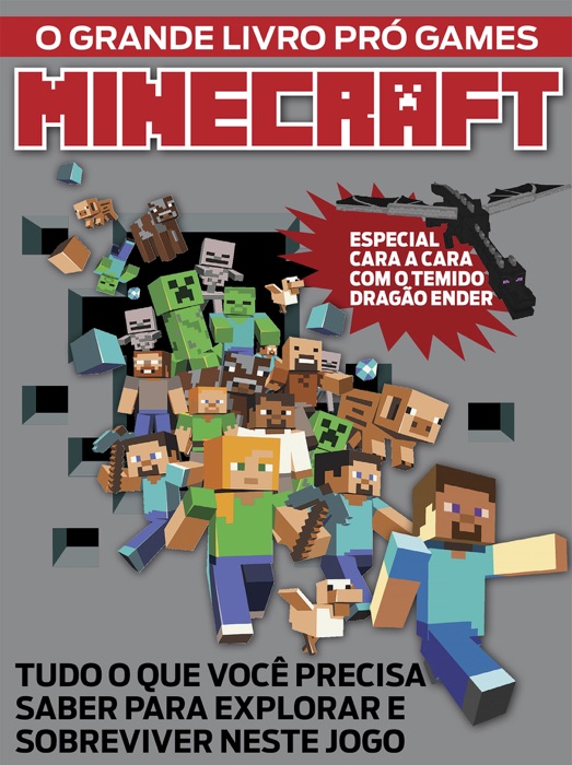 Minecraft - Ed.01