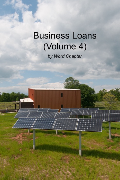 Business Loans (Volume 4)