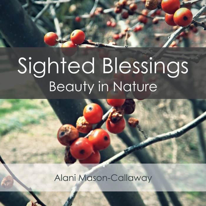 Sighted Blessings