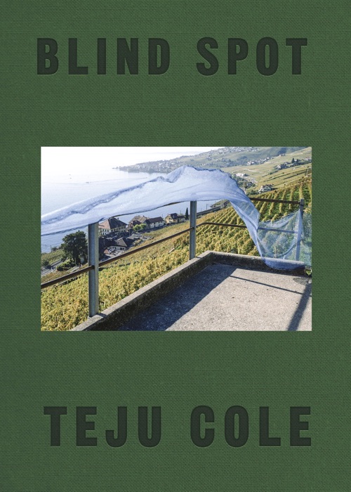 Blind Spot