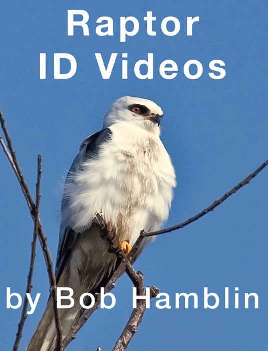 Raptor ID Videos