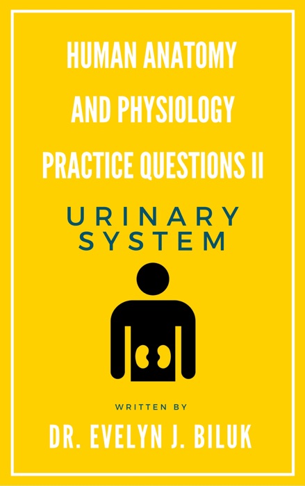 Human Anatomy and Physiology Practice Questions II: Urinary System