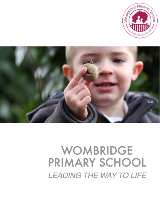 Wombridge Primary School