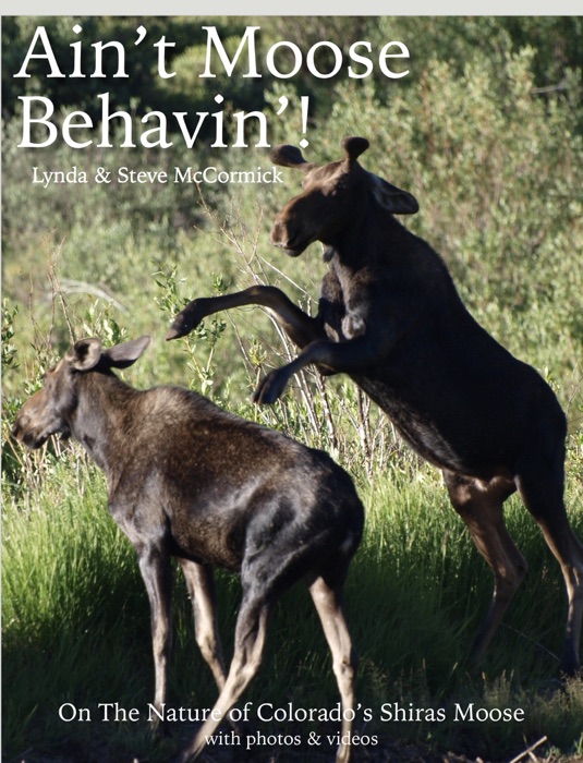 Ain’t Moose Behavin’!