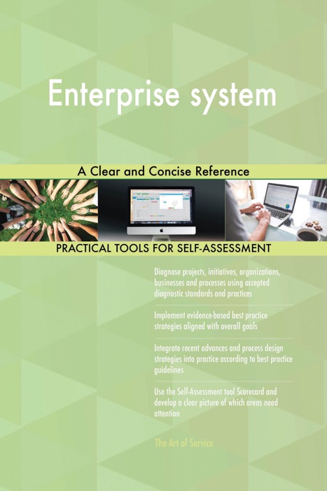 Enterprise system A Clear and Concise Reference