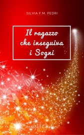 IL RAGAZZO CHE INSEGUIVA I SOGNI