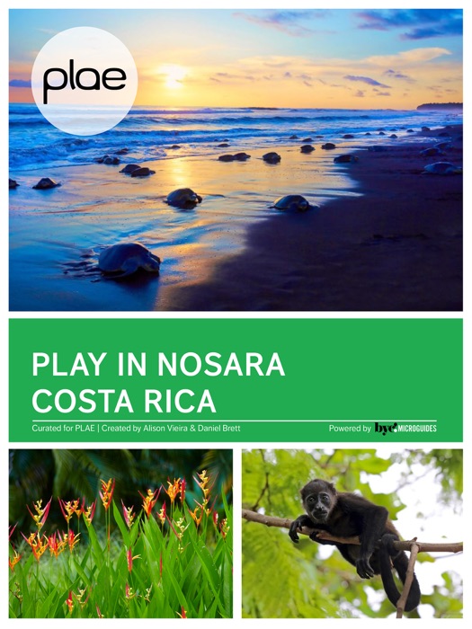 Play in Nosara Costa Rica