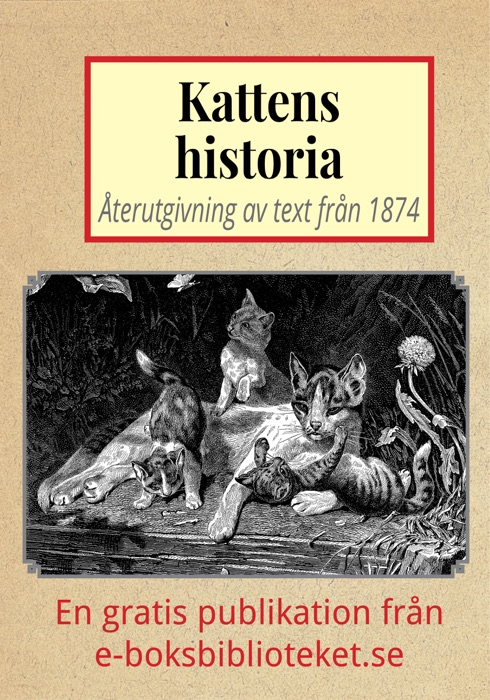 Kattens historia