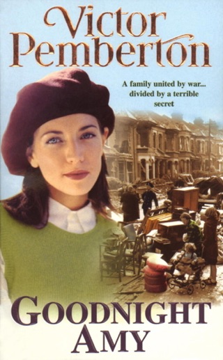A Perfect Stranger: A gripping saga of love, war and temptation