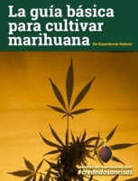 La guía básica para cultivar marihuana