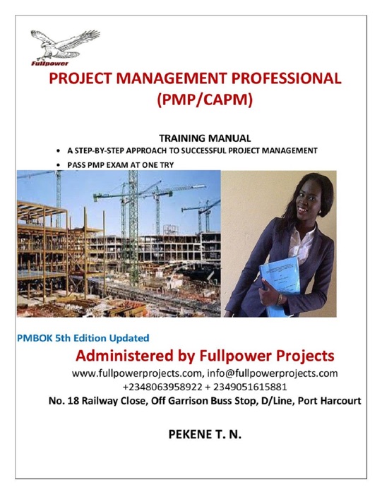 Project Management Professional (PMP/CAMP)