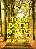 I Took Both Roads: My Journey as a Bisexual Husband - David R. Matteson