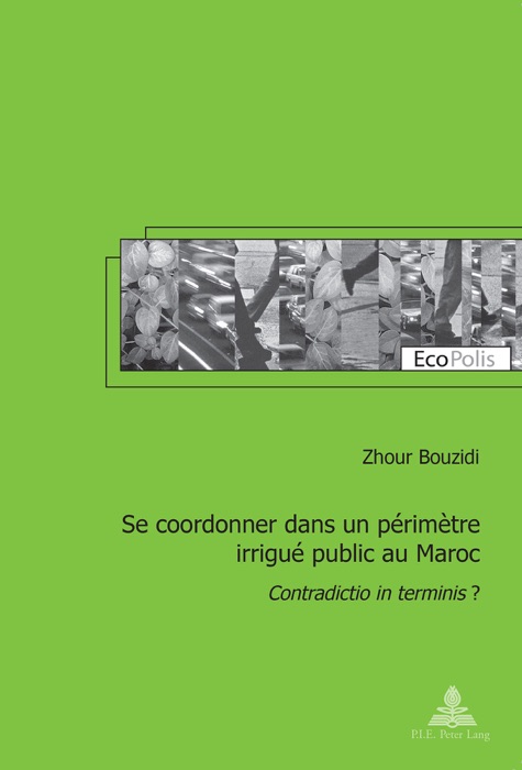 Se coordonner dans un périmètre irrigué public au Maroc