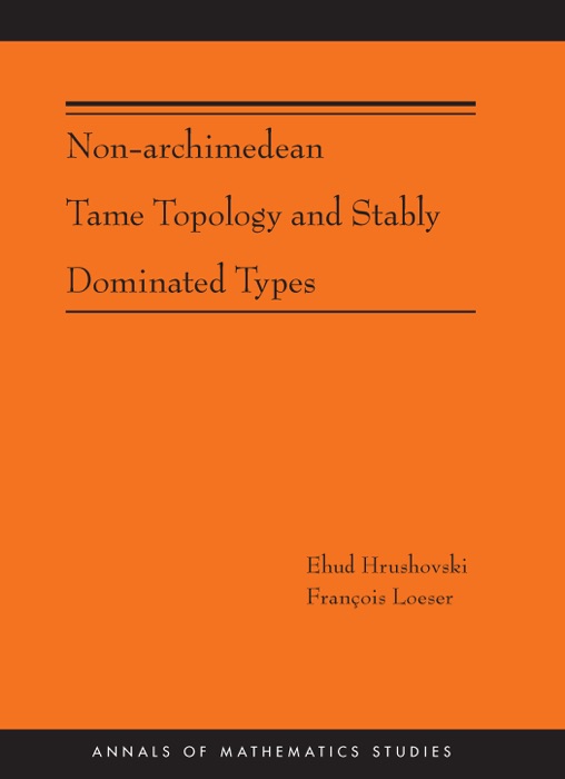 Non-Archimedean Tame Topology and Stably Dominated Types (AM-192)