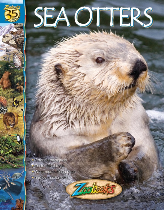 Zoobooks Sea Otters