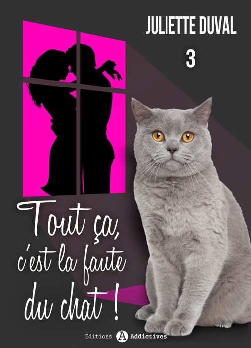 Tout ça, c’est la faute du chat ! - 3