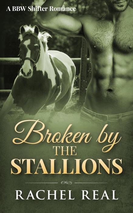 Broken by the Stallions