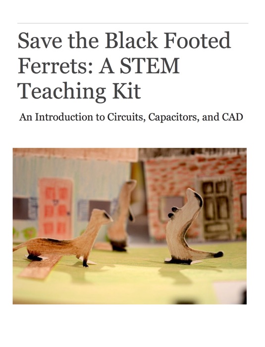 Save the Black Footed Ferrets: A STEM Teaching Kit