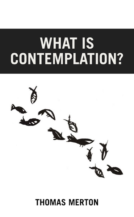 What Is Contemplation?