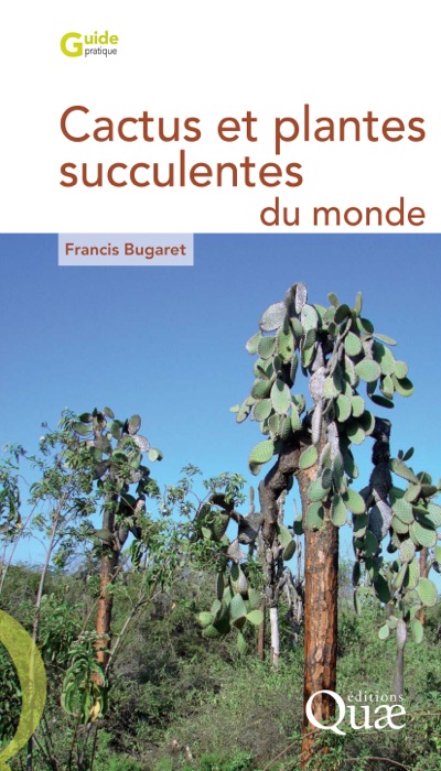 Cactus et plantes succulentes du monde