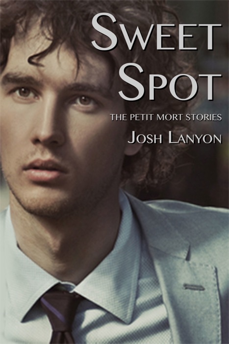 Sweet Spot The Petit Mort Stories