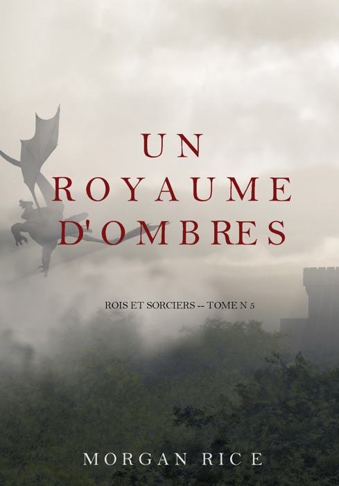 Un Royaume D'ombres (Rois et Sorciers - Tome n 5)