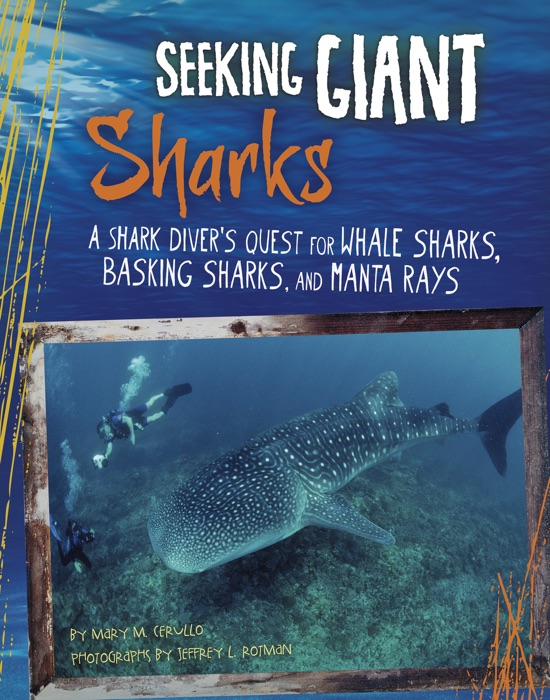 Seeking Giant Sharks