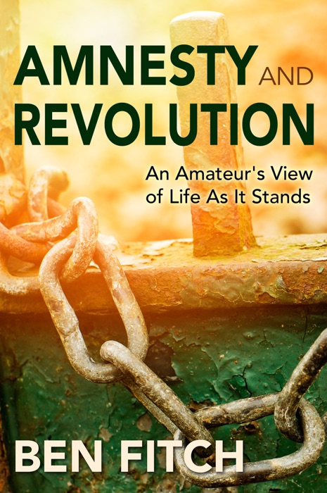 Amnesty and Revolution: An Amateur's View of Life As It Stands