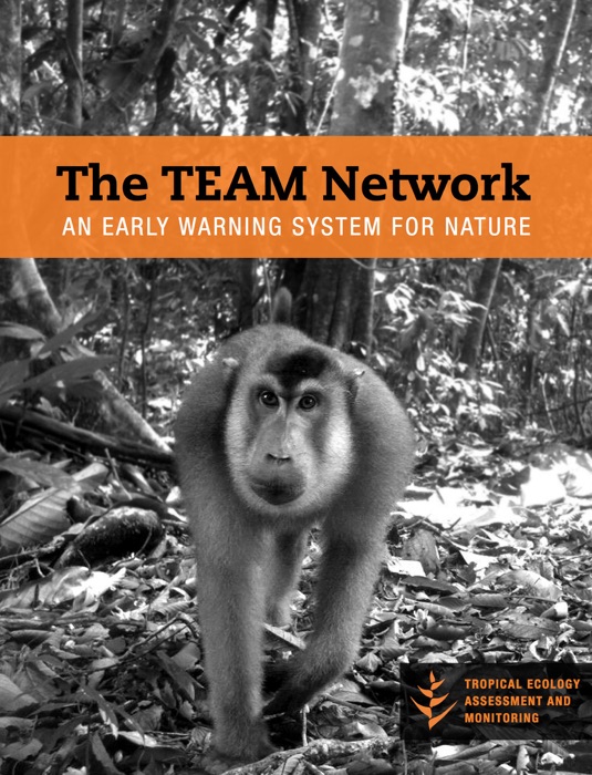 The Team Network