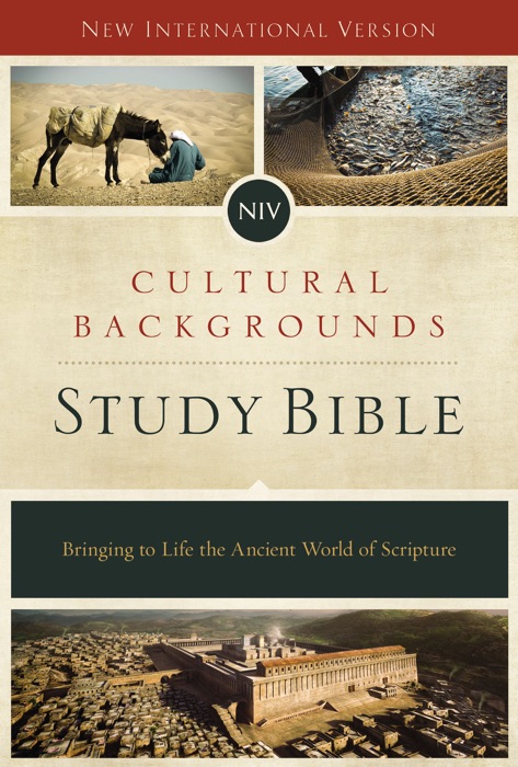NIV, Cultural Backgrounds Study Bible