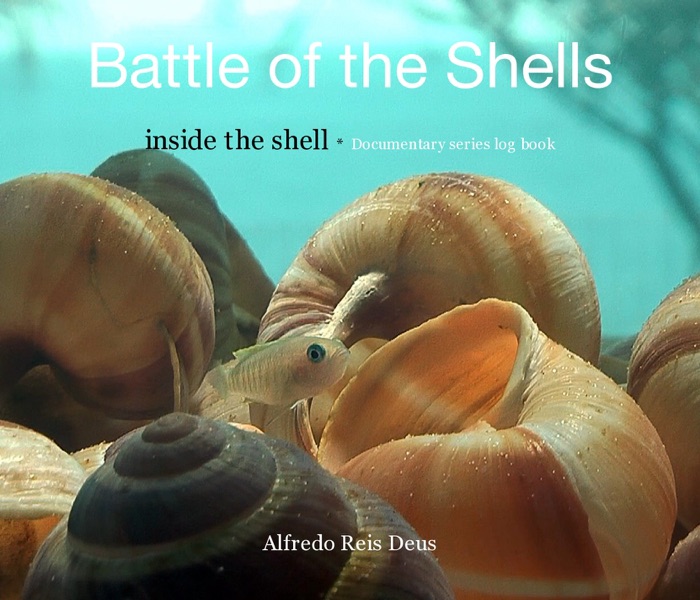 Battle of the Shells