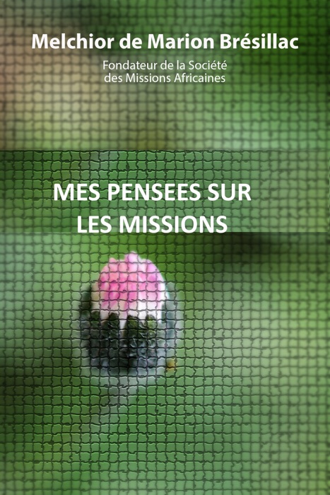 Mes pensées sur les missions